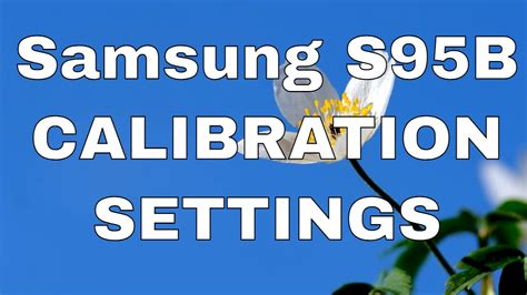 HD/High Dynamic Range As. . Samsung s95b calibration settings
